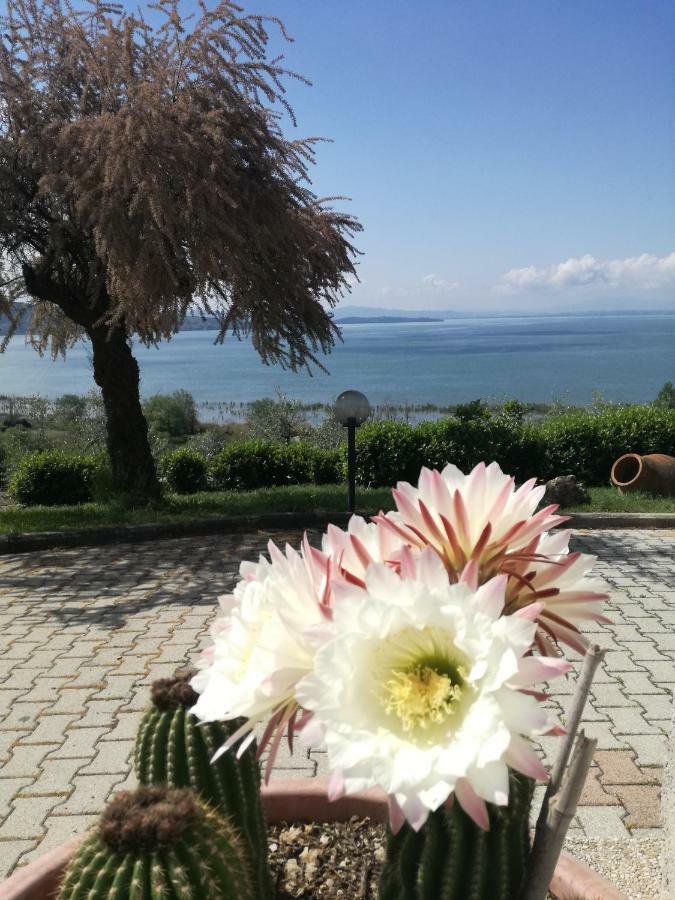B&B Torre Del Lago Trasimeno Passignano sul Trasimeno Exteriör bild